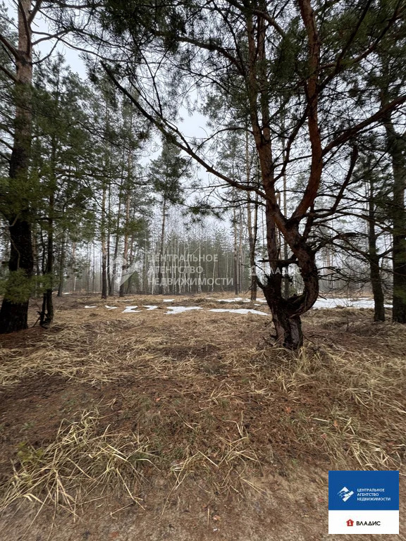 Продажа участка, Рязанский район, садоводческое товарищество ... - Фото 2