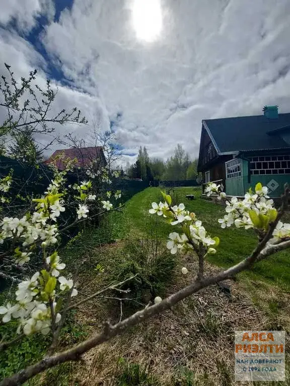 ЖДП-894 Продажа дома в д. Украинка Клинского р-на - Фото 10