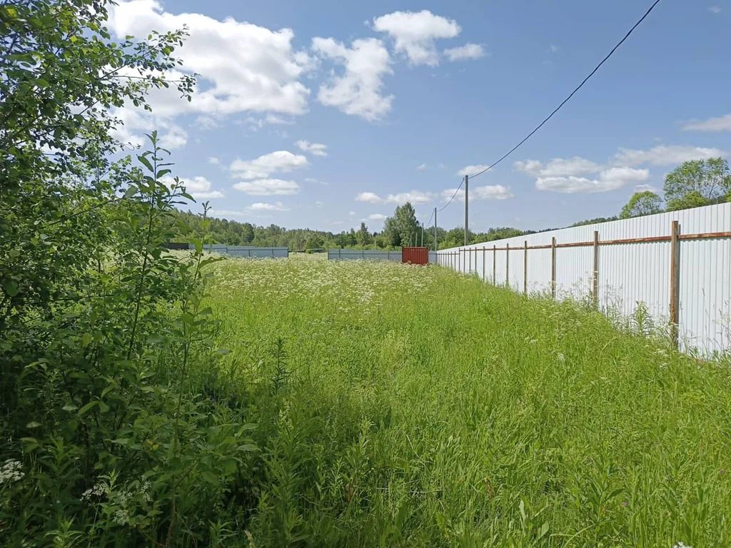 Продажа участка, Щемелинки, Шаховской район, Ягодная улица - Фото 3