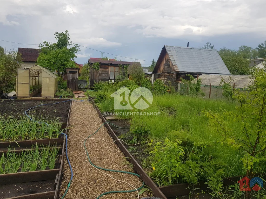 Новосибирский район, садовое товарищество Ивушка-2, Центральная улица, ... - Фото 6