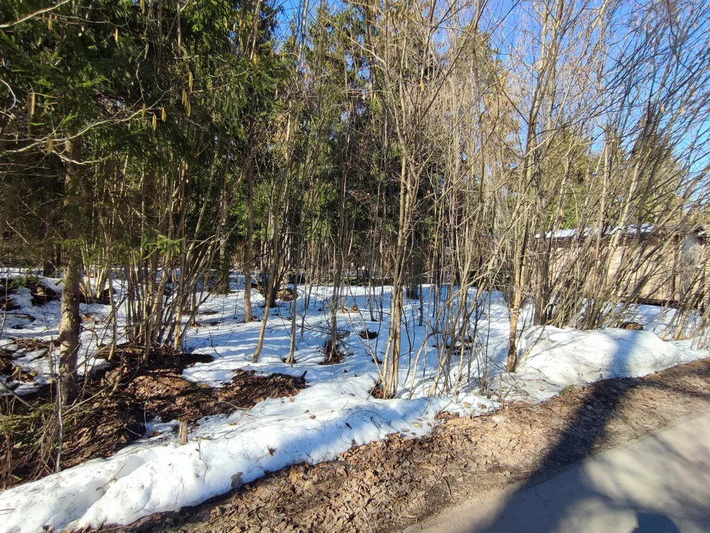 Продажа участка, НИИ Радио, Одинцовский район, Тыльная улица - Фото 2