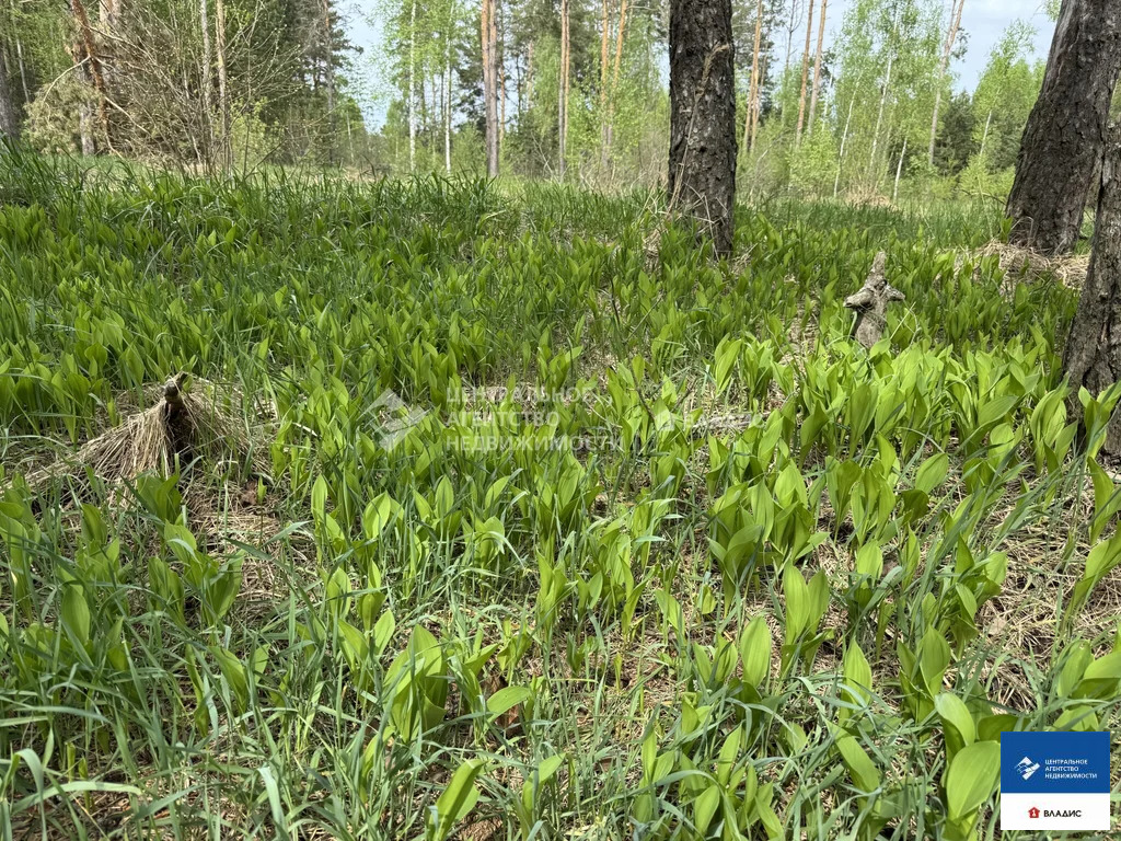 Продажа участка, Рязанский район, садоводческое товарищество ... - Фото 4
