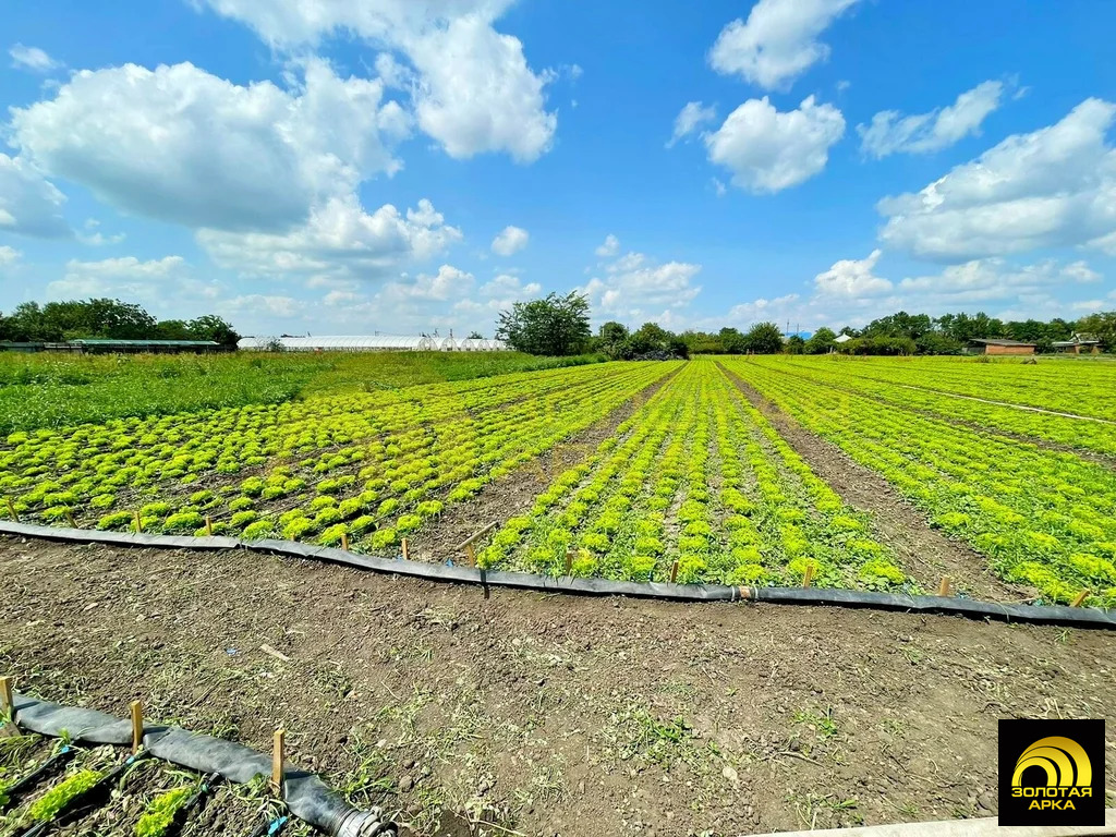 Продажа дома, Полтавская, Красноармейский район, ул. Красная - Фото 8