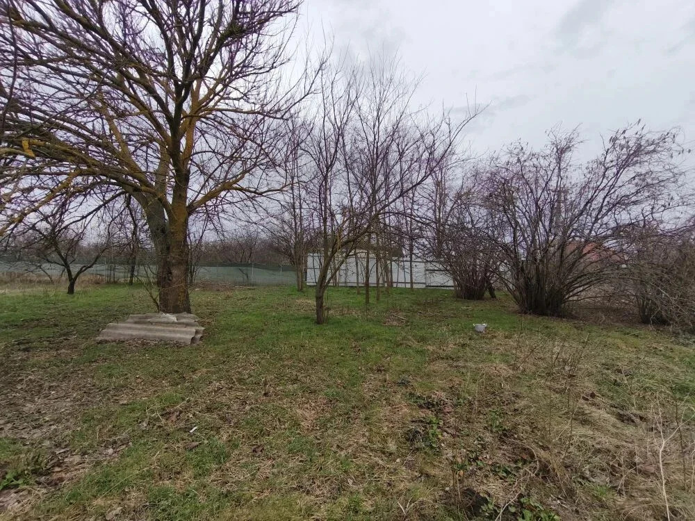 Продажа участка, Львовское, Северский район, ул. Октябрьская - Фото 4