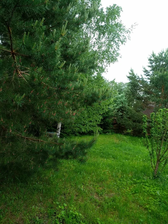 Продажа участка, Николо-Урюпино, Красногорский район, ул. Липовая - Фото 11