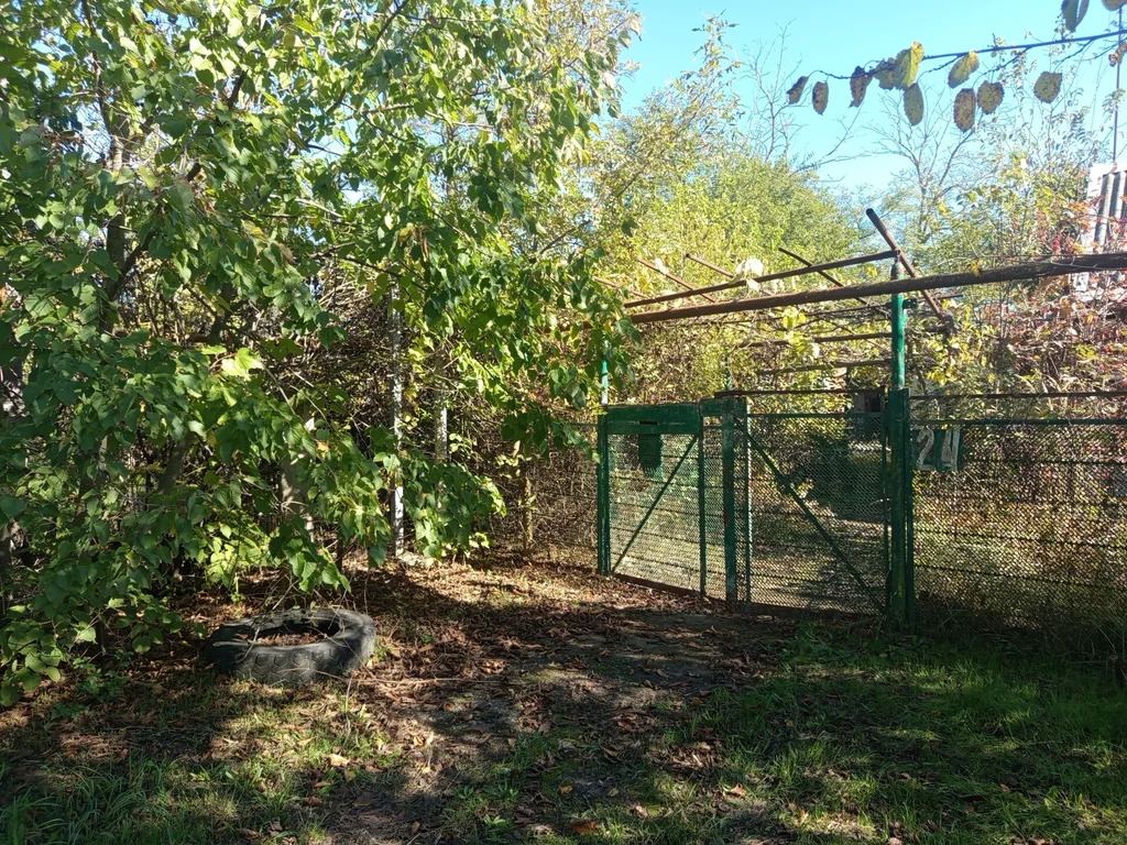 Продажа участка, Новомышастовская, Красноармейский район, ул. Толстого - Фото 10