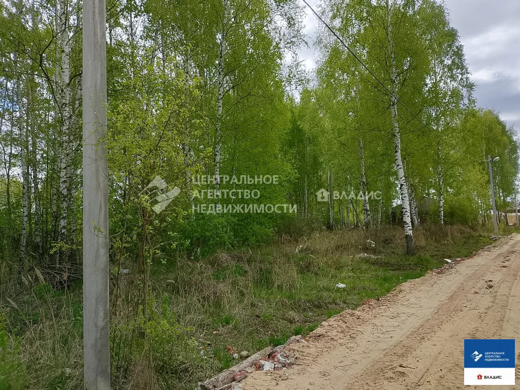 Продажа участка, Дубровичи, Рязанский район, коттеджный посёлок ... - Фото 3
