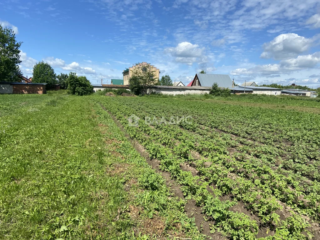 Суздальский район, село Сельцо, Центральная улица,  дом на продажу - Фото 9