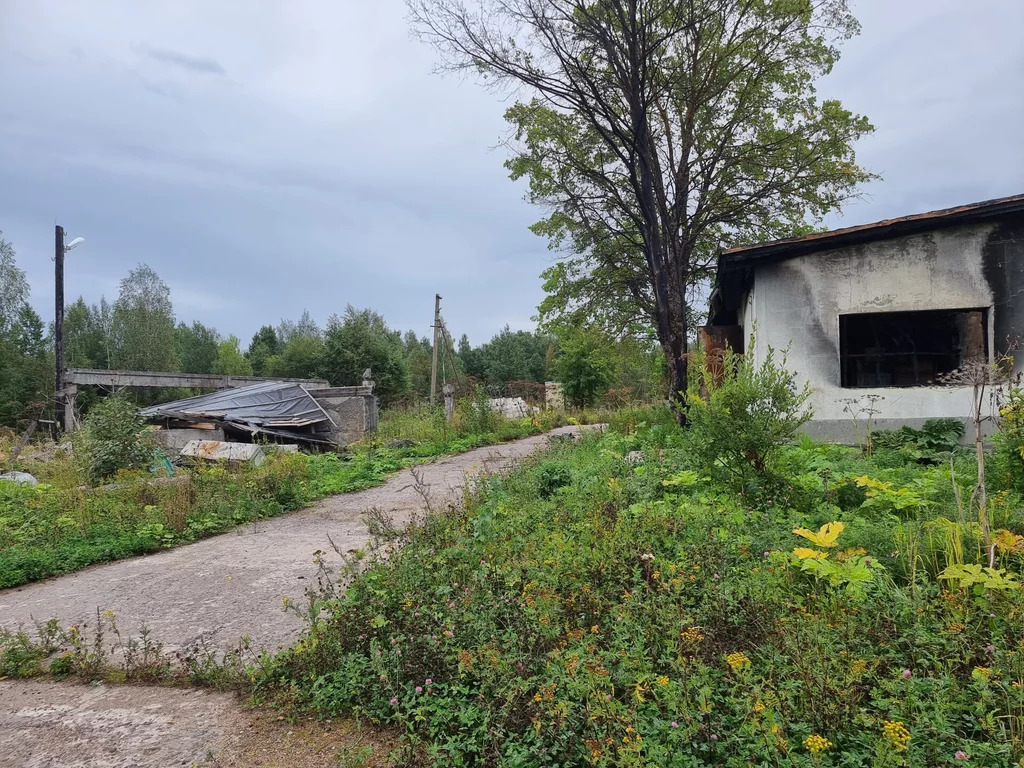 Продажа участка, Лесколово, Всеволожский район - Фото 6