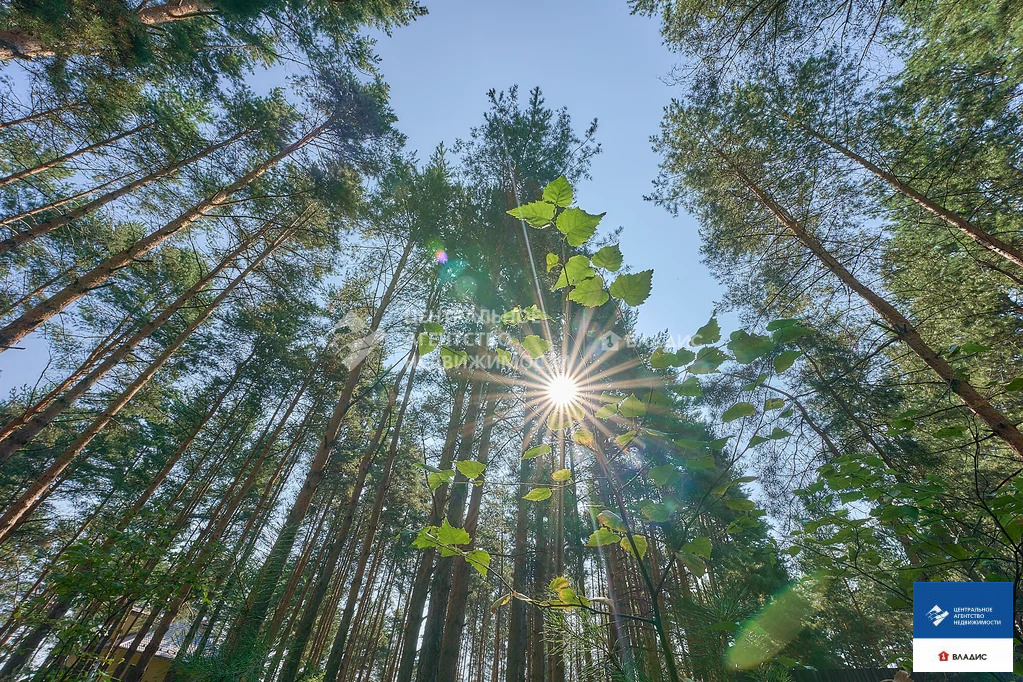 Продажа участка, Алеканово, Рязанский район - Фото 6