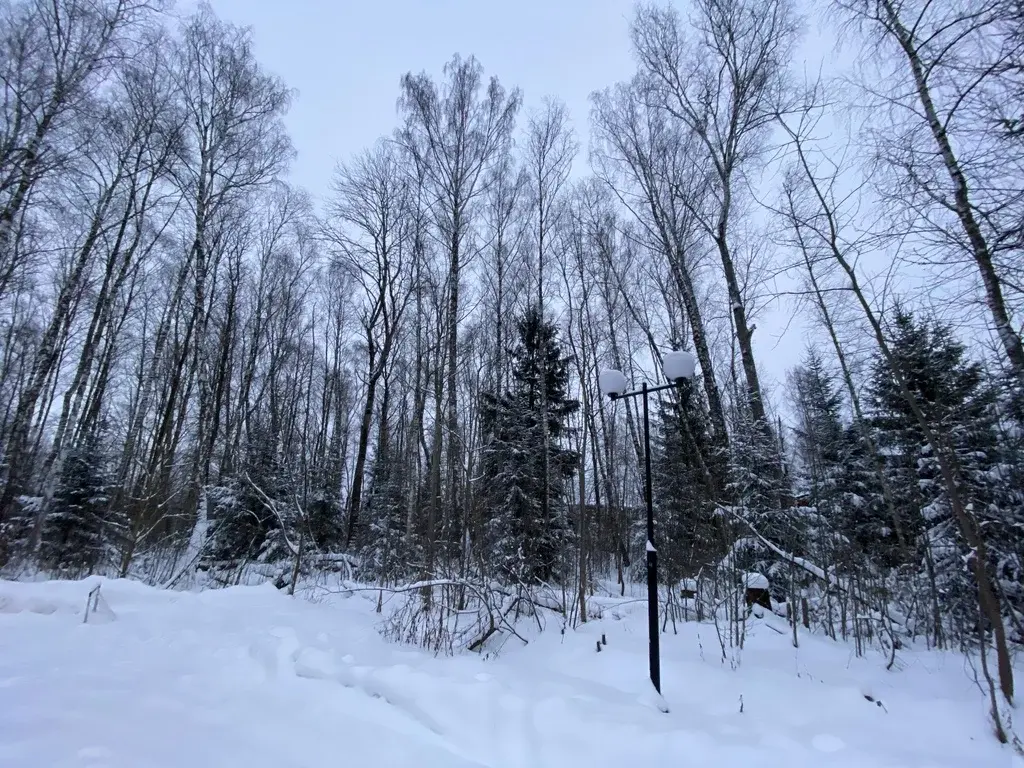 Лесной Участок, 25 соток, кп Финская Деревня, г. Чехов, свет оплачен - Фото 2