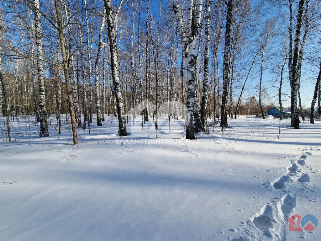 Новосибирский район, СНТ Надежда-2,  земля на продажу - Фото 1