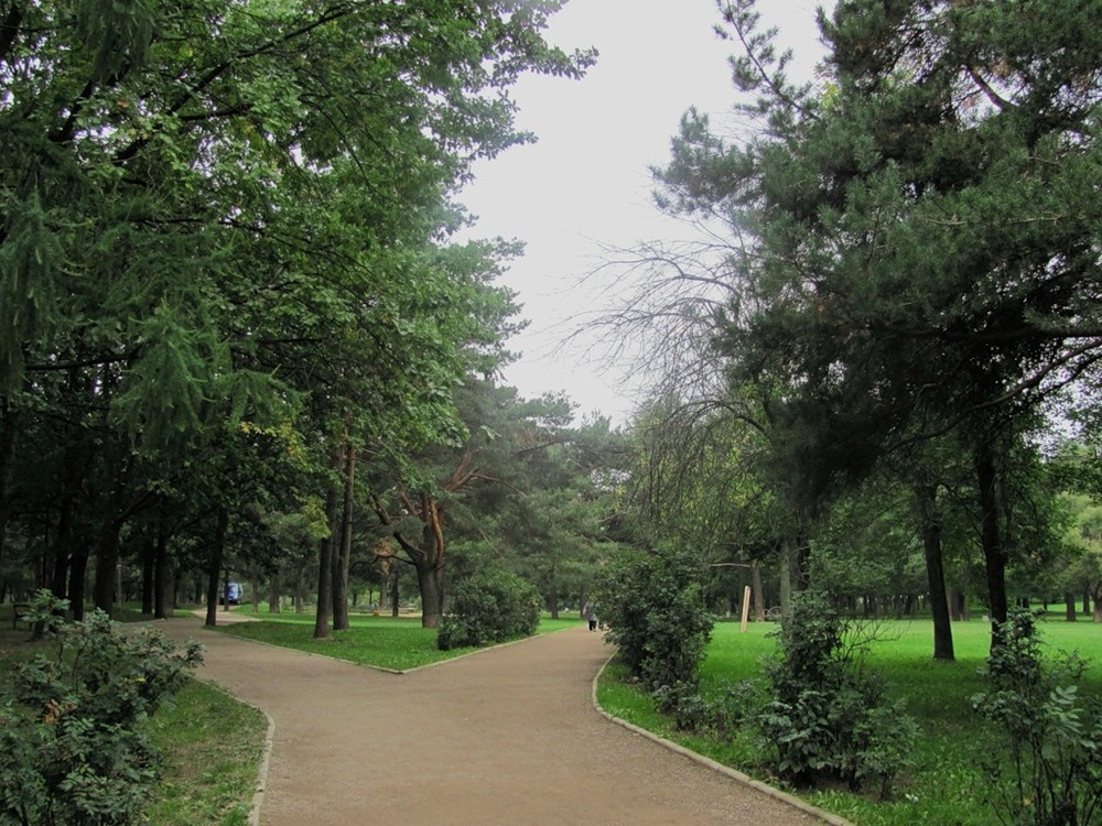 Аршиновский парк в москве карта