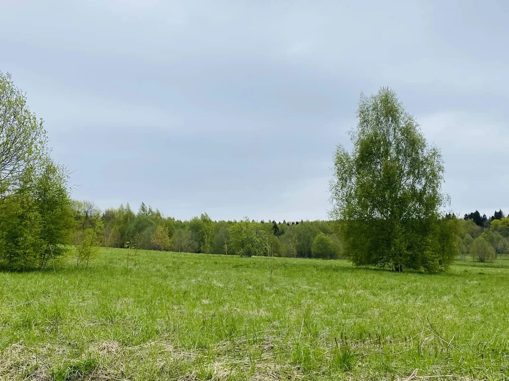 Продажа участка, Горбово, Дмитровский район - Фото 6