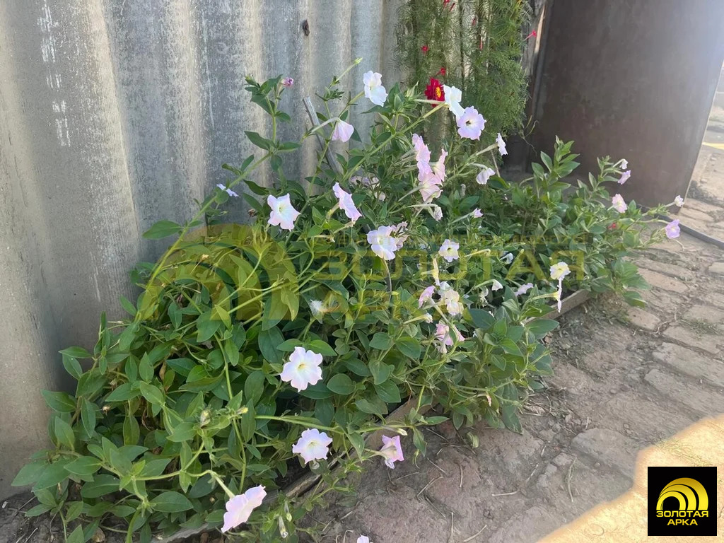 Продажа дома, Варениковская, Крымский район, ул. Красная - Фото 22