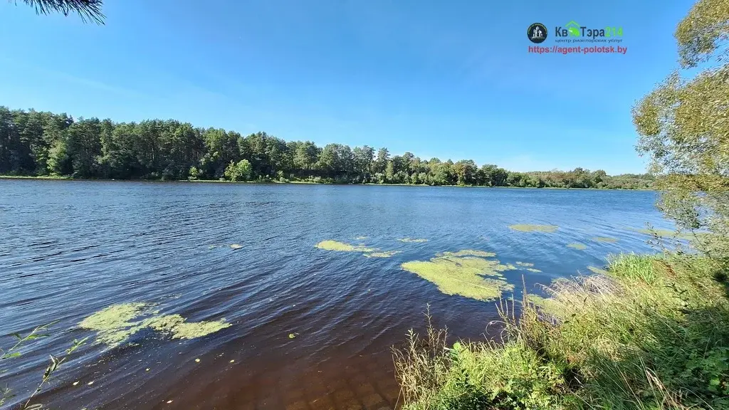 продам дом в Беларуси на Берегу Зап.Двины - Фото 2