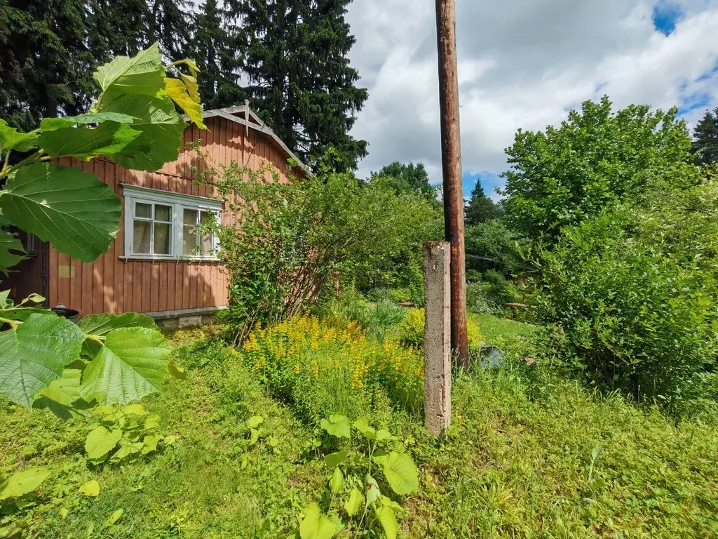 Продам дом в Лобне - Фото 19