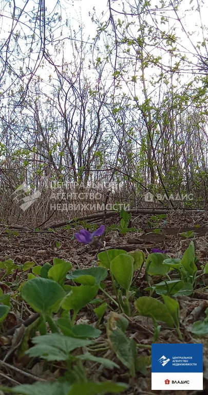 Продажа участка, Рязань, ул. Речная - Фото 6