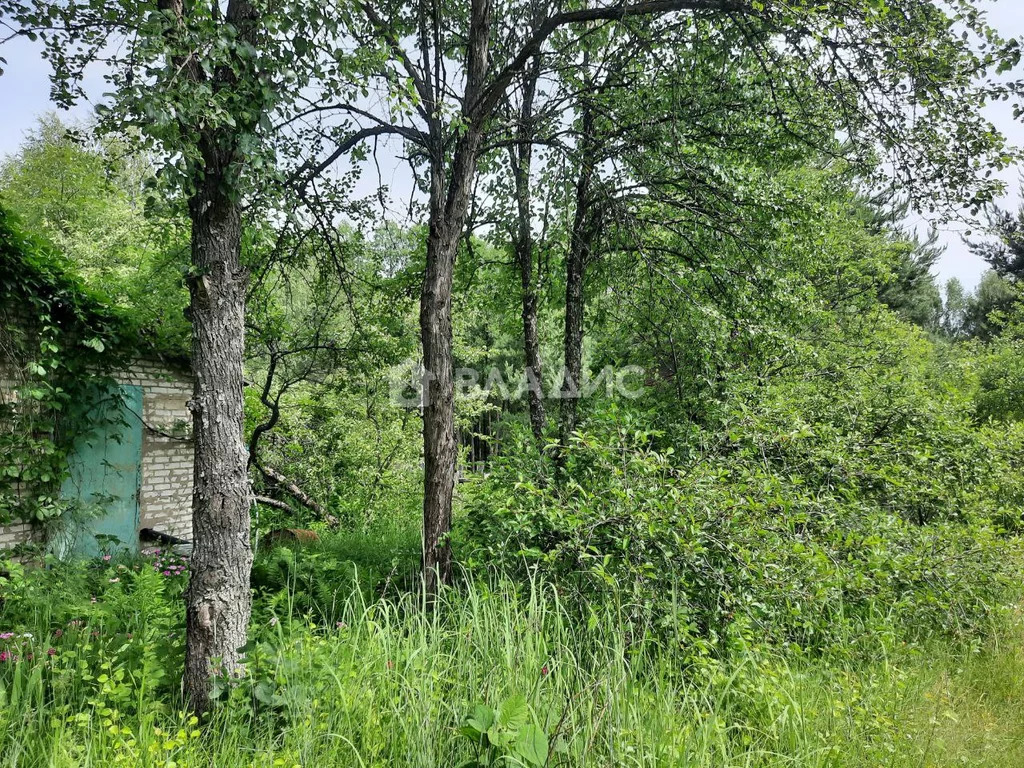 Судогодский район, деревня Луньково, Центральная улица, дом на . - Фото 6