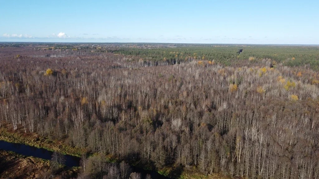 Продажа участка, Барышево, Выборгский район - Фото 8