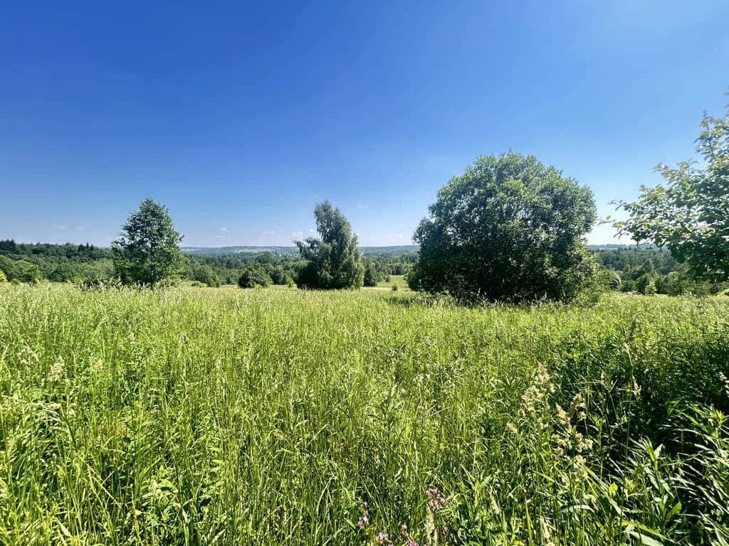 Продажа участка, Горбово, Дмитровский район - Фото 3