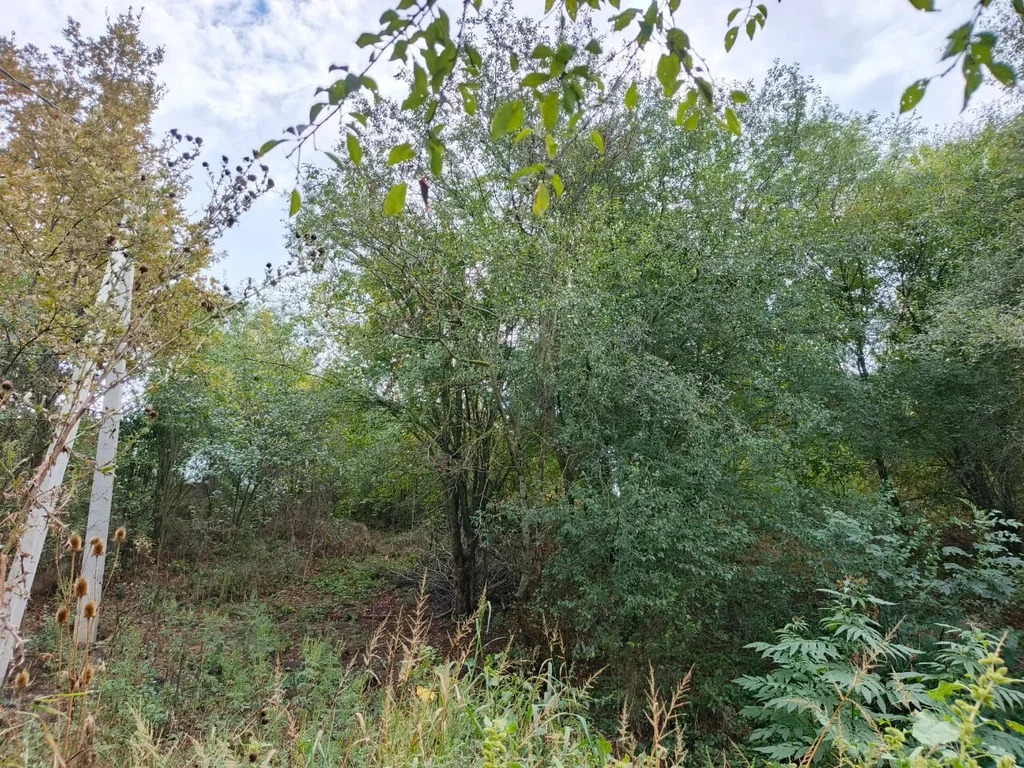 Продажа участка, Новодмитриевская, Северский район, ул. Орджоникидзе - Фото 3