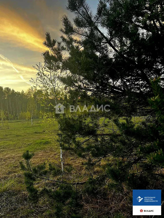 Продажа участка, Фролово, Клепиковский район - Фото 1