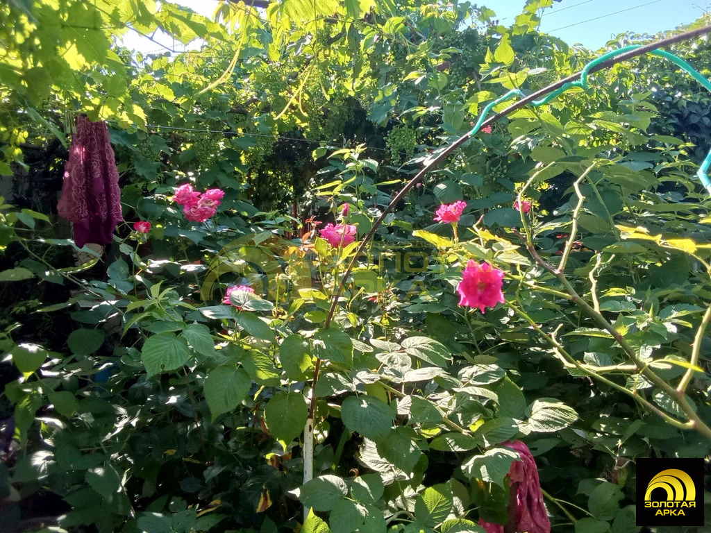 Продажа дома, Вышестеблиевская, Темрюкский район, ул. Ленина - Фото 14