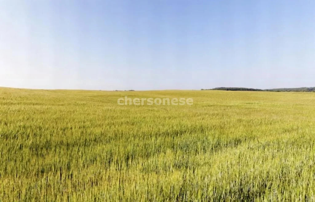 Продажа участка, Орловское, Красноперекопский район, улица Западная - Фото 5