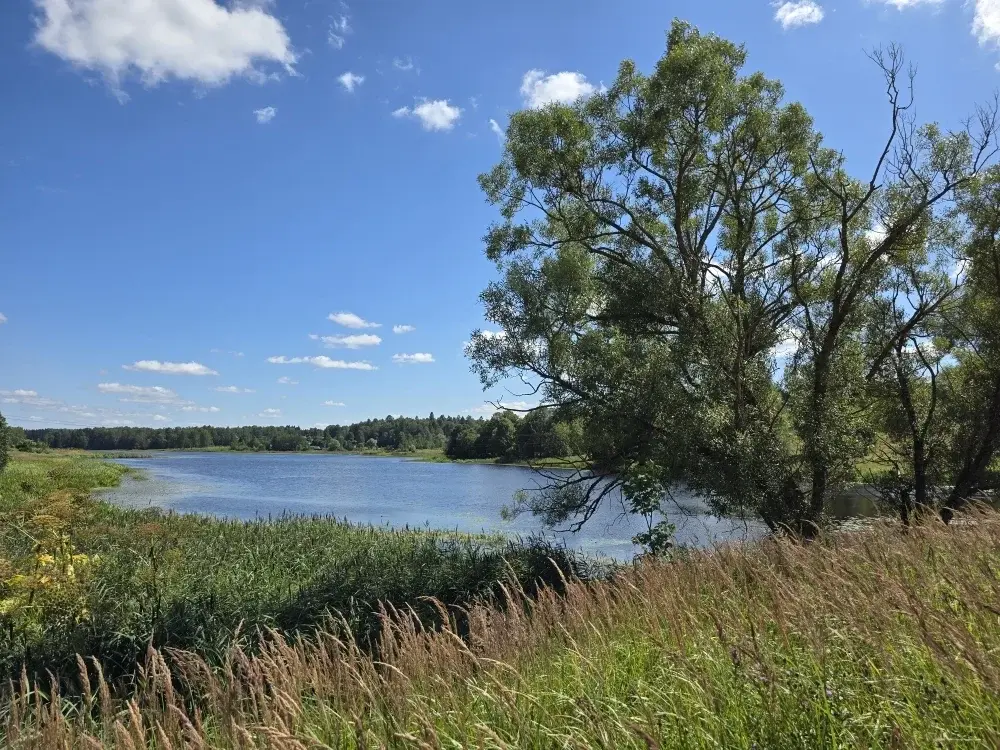 Продаю уч. 30 сот. с Семеновское - Фото 12