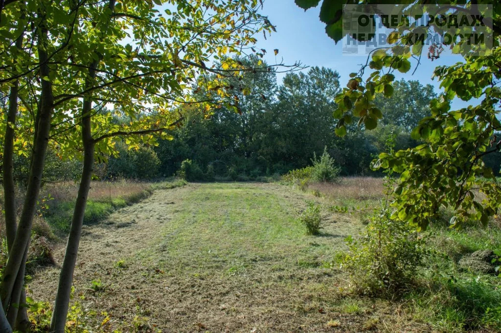 Участок с домиком - Фото 11