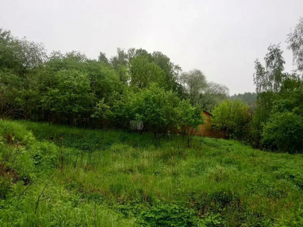 Участок на высоком берегу реки с панорамными видами на Рублевке дешево - Фото 2