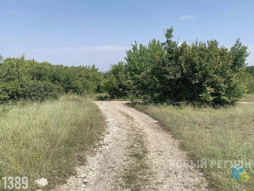 Погода в равнополье симферопольский