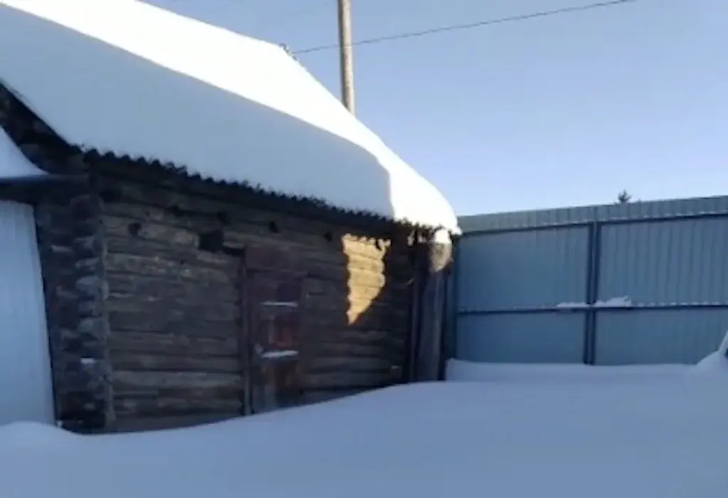 Курганская область Каргапольский р-он с. Брылино, ул. А. Антонова 18. - Фото 13