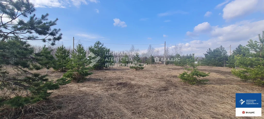 Продажа участка, Рязанский район - Фото 4