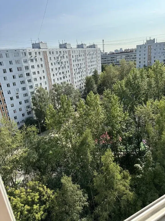 Просторная видовая Однушка Общ.пл. 39 кв.м в Северном Тушино - Фото 25