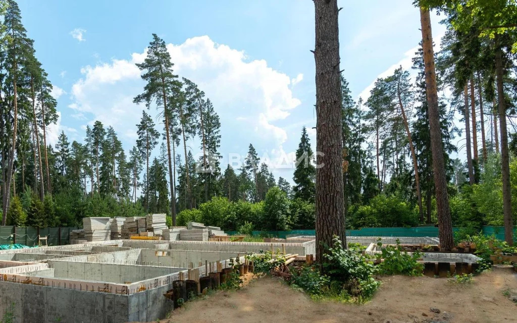 Одинцовский городской округ, ДНТ Баковка-Набережная, посёлок Баковка, ... - Фото 7