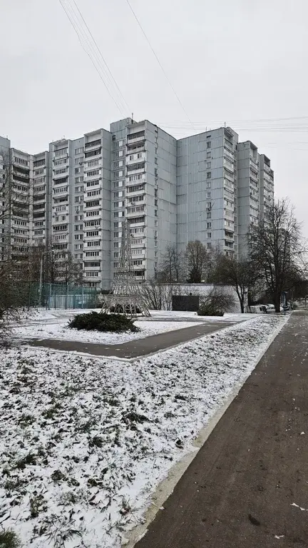 3-к. ул.Инессы Арманд, д.7 - Фото 16