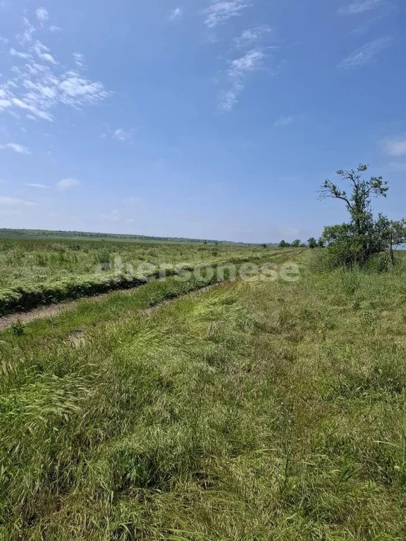 Продажа участка, Береговое, улица Новосёловская - Фото 3