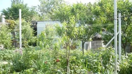 Продажа дома, Минеральные Воды, ул. Московская - Фото 10