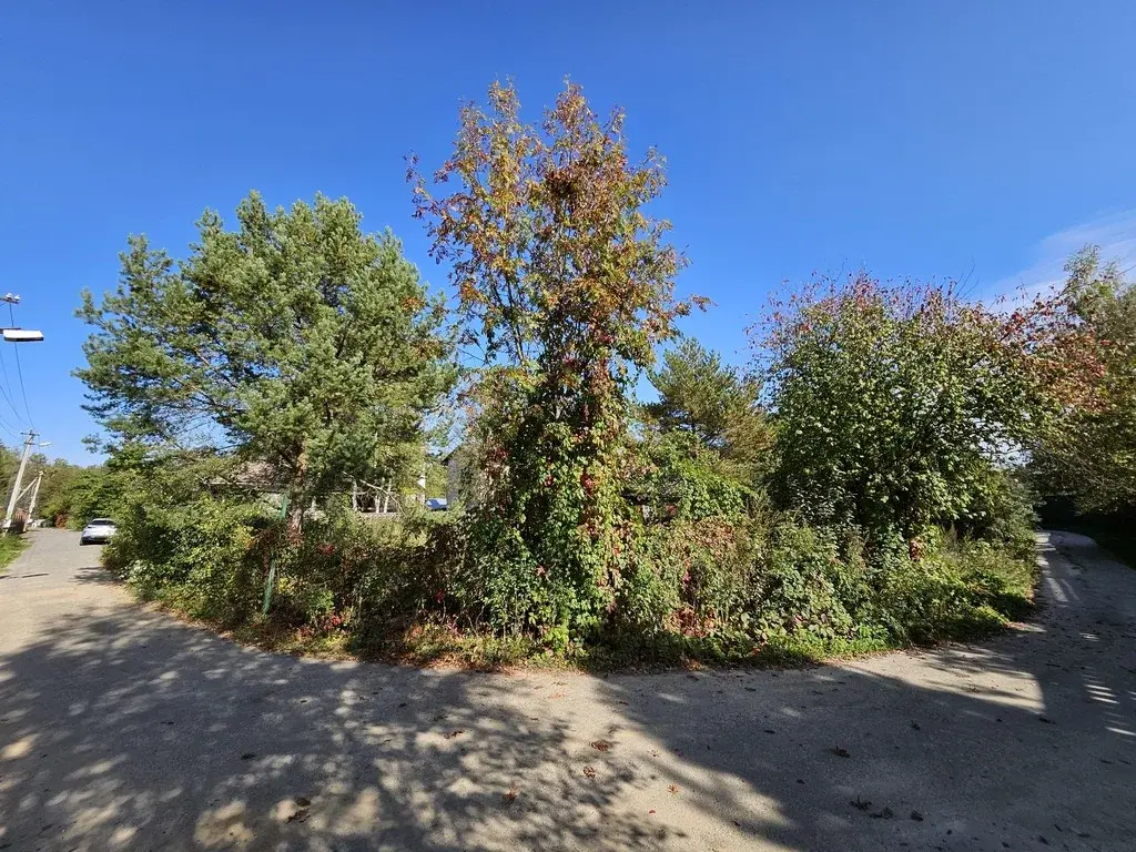 Продажа участка в Новой Москве, СНТ Газовик - Фото 11