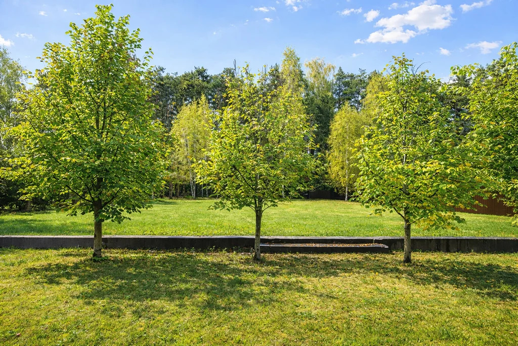 Продажа дома, Глухово, Дмитровский район, Ильинская улица - Фото 28