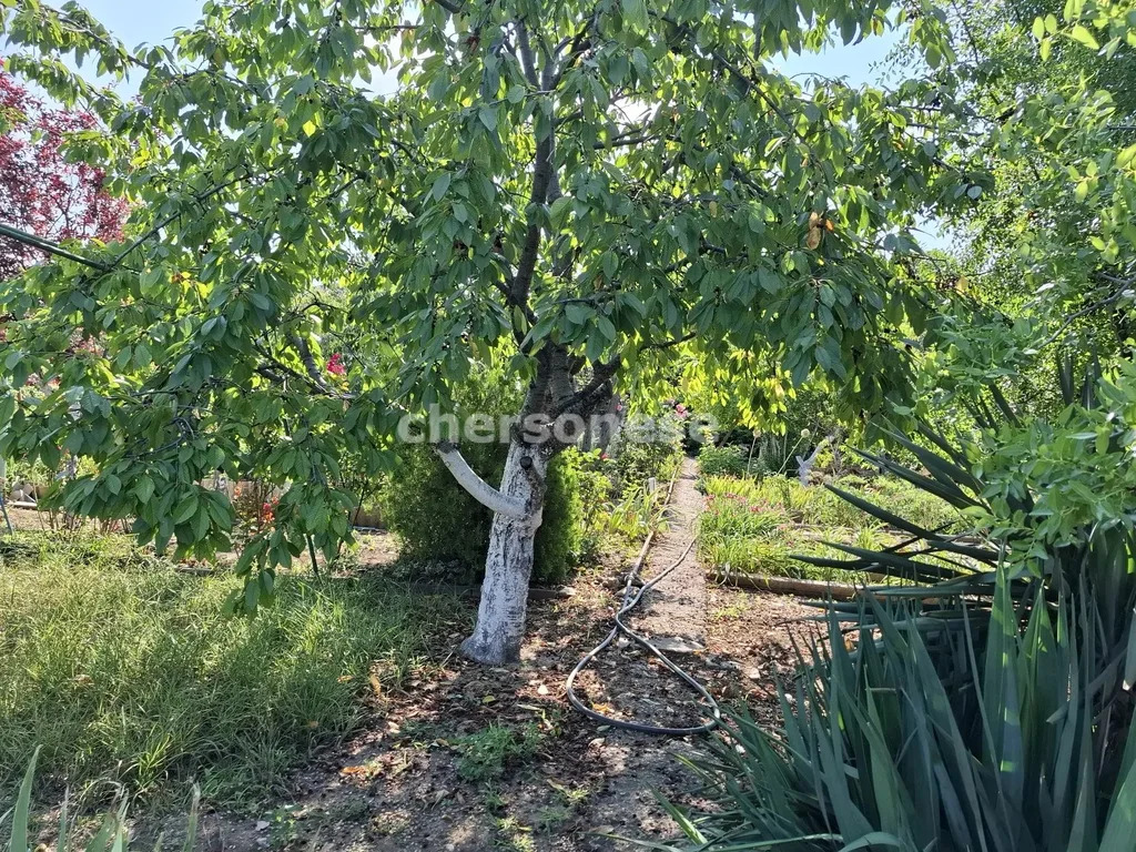 Продажа участка, Севастополь, ул. Богданова - Фото 2