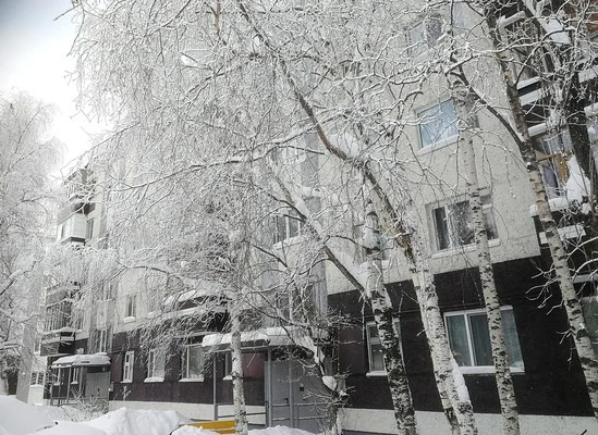 Практичная 2-х к. квартира, 45 м.кв. - Фото 12