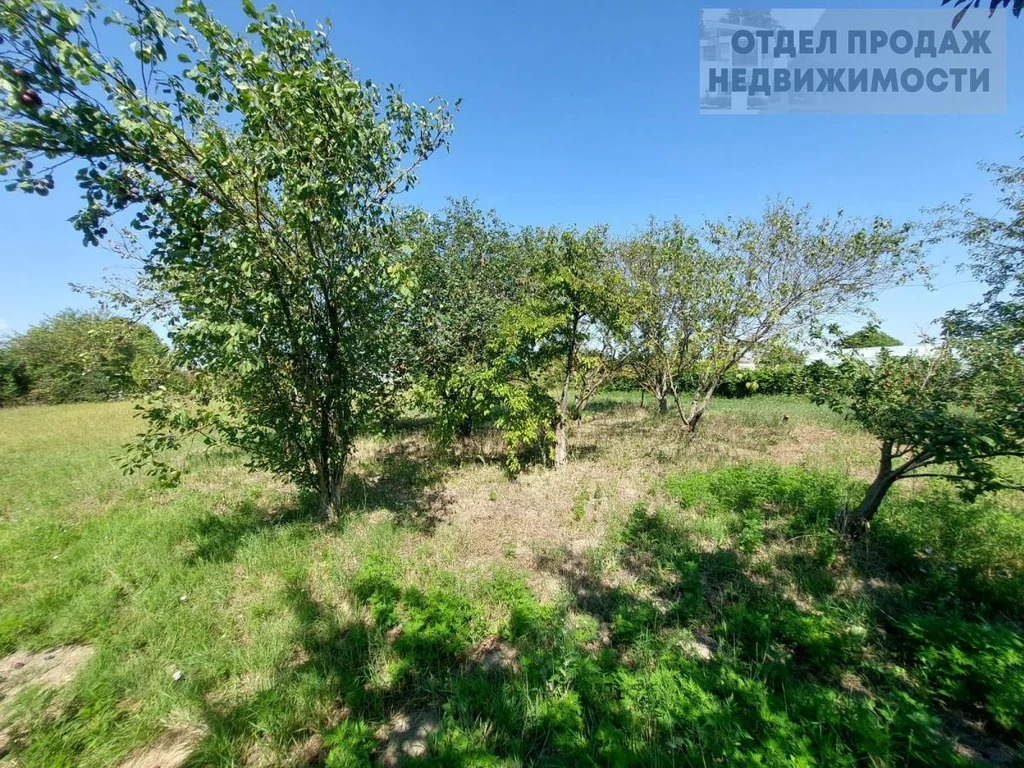 Дом с большим участком - Фото 16