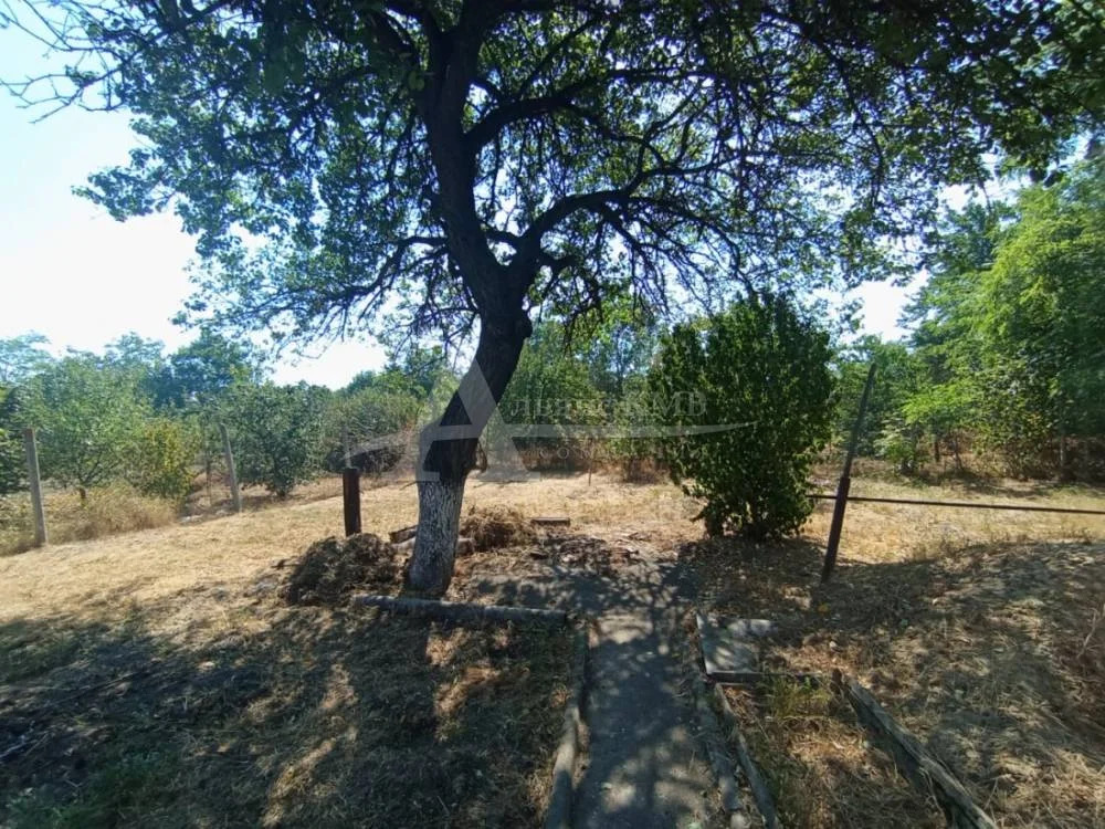 Продажа дома, Георгиевск, ул. Ленина - Фото 6