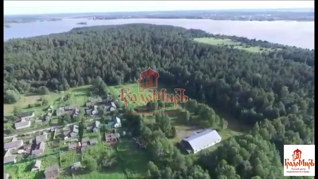 Кашин фалево берег волги сосновый берег. Деревня фалево тверская область. Погода фалево тверская область. Погода в твери. Деревня фалево тверская область.