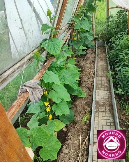 Продам дачу. - Фото 2