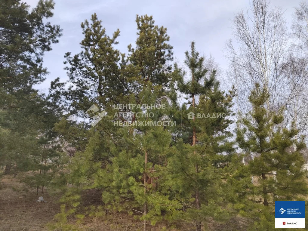 Продажа участка, Рязанский район - Фото 0