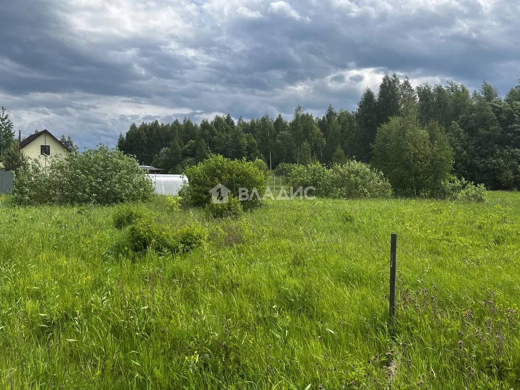 Некрасовский район, деревня Грешнево, Центральная улица, земля на . - Фото 4